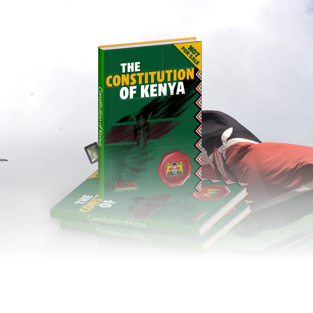 BILL OF RIGHTS , CHAPTER FOUR