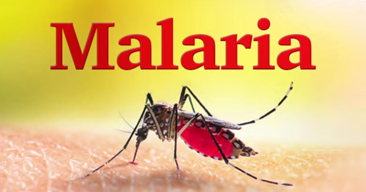 Dangers of Malaria to Pregnant Women and Infants